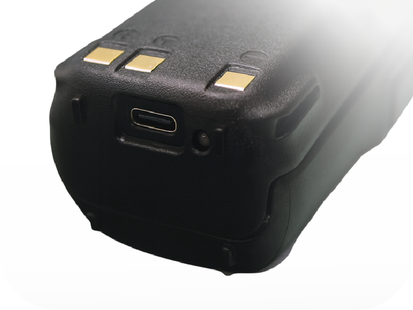 Cargador USB-C y Batería